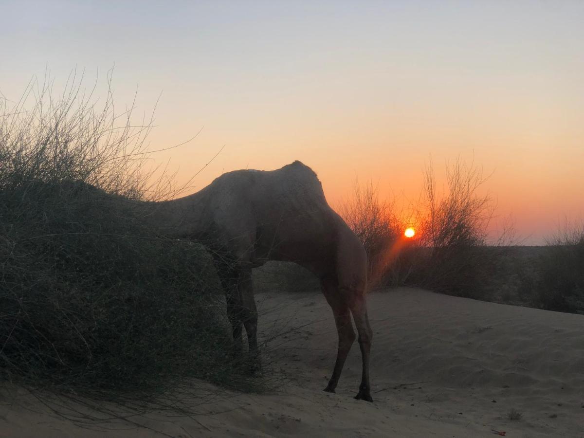 Hostel Desert Home Stay Jaisalmer Zewnętrze zdjęcie